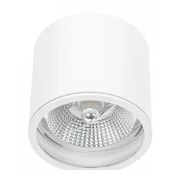 Alasvalo Spectrum Chloe AR111 GU10 IP65 Ø120x115mm