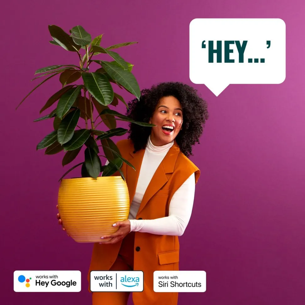 Aloituspakkaus WiZ älyvalonauha + ohjain Wi-Fi 2m