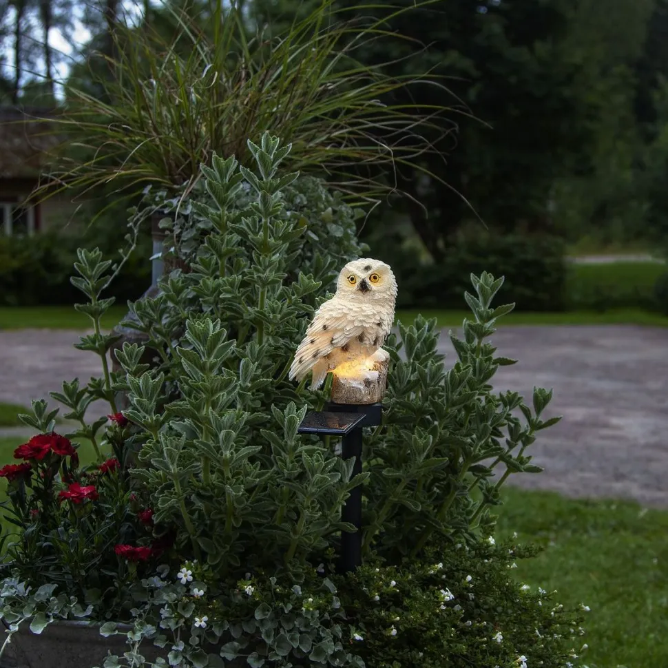 Aurinkokennokoristevalaisin Star Trading Owl 330x100x130mm beige