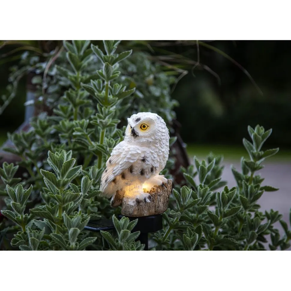 Aurinkokennokoristevalaisin Star Trading Owl 330x100x130mm beige