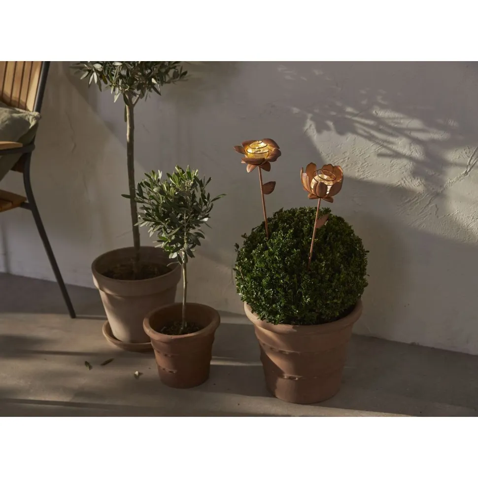 Aurinkokennokoristevalaisin Star Trading Oxida Flowers, 51cm, 2kpl/pkt