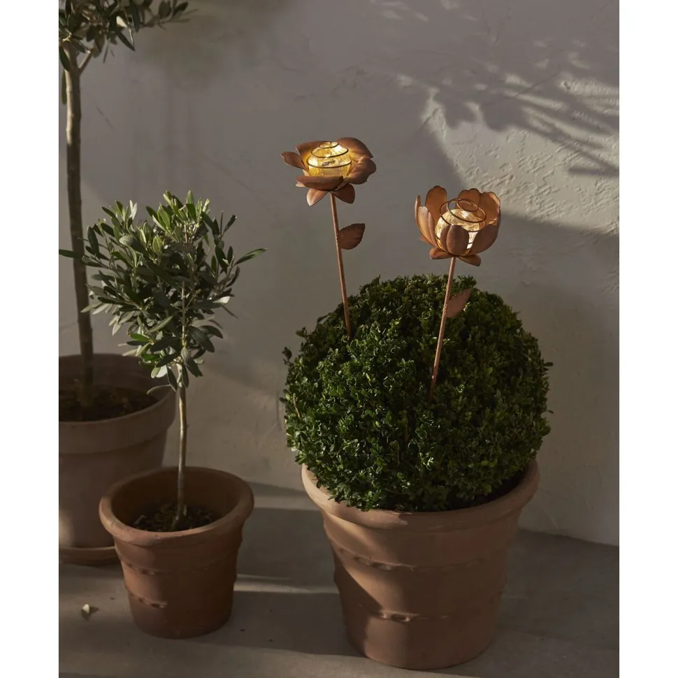 Aurinkokennokoristevalaisin Star Trading Oxida Flowers, 51cm, 2kpl/pkt