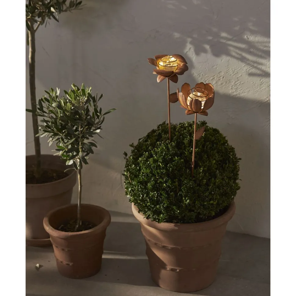 Aurinkokennokoristevalaisin Star Trading Oxida Flowers, 51cm, 2kpl/pkt