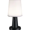Aurinkokennopöytävalaisin Paulmann Ilanga 30cm IP44 2700K 125lm USB antrasiitti