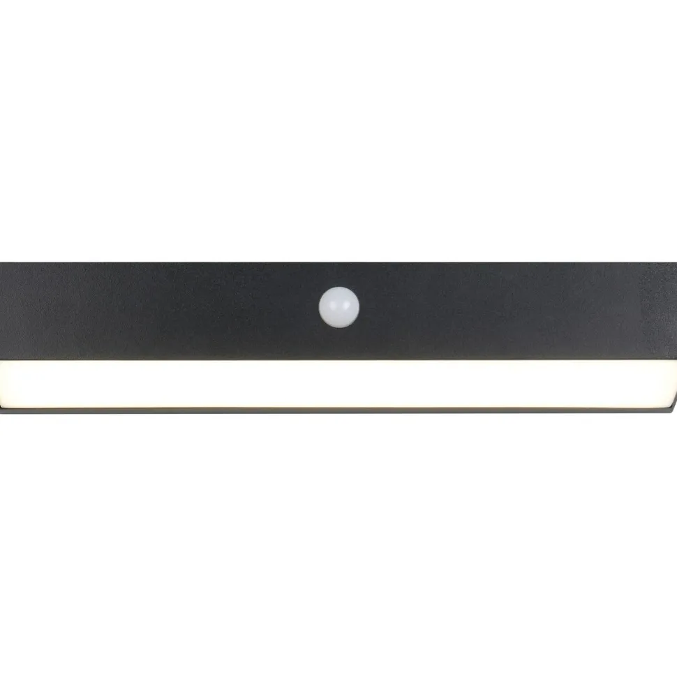 Aurinkokennoseinävalaisin Trio Silves Hybrid Solar LED ladattava liike- ja hämärätunnistin 4000K alas valkoinen
