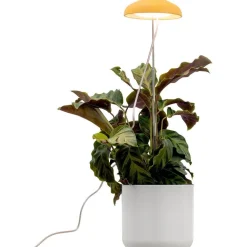 Kasvivalaisin Airam Iris, 5W, 240lm, IP20, valkoinen