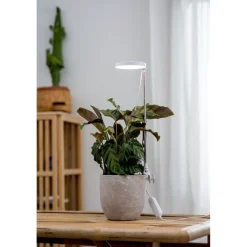 Kasvivalaisin Airam Rose, 10W, 290lm, valkoinen