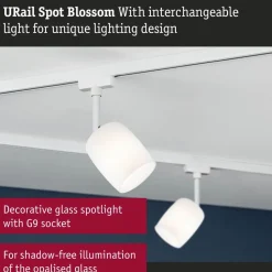 Kiskospotti Paulmann URail Blossom G9 max. 10W himmennettävä valkoinen