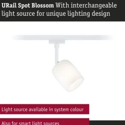 Kiskospotti Paulmann URail Blossom G9 max. 10W himmennettävä valkoinen