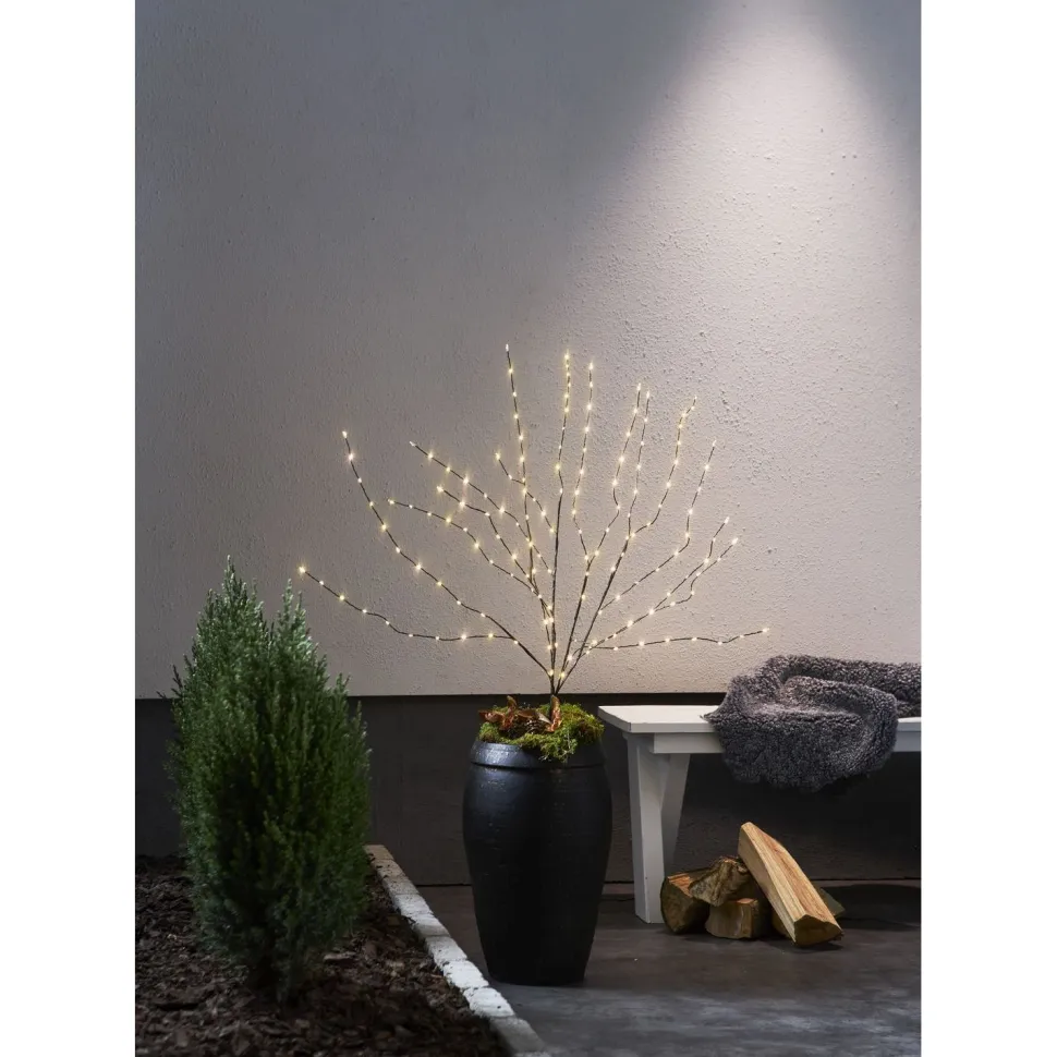 Koristeoksa Star Trading Reedy, 90cm, musta