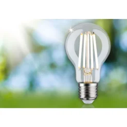 LED-filamenttilamppu Paulmann Eco-Line Pear, E27, 840lm, 4W, 3000K, kirkas