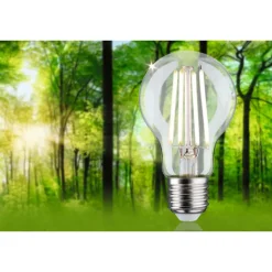 LED-filamenttilamppu Paulmann Eco-Line Pear, E27, 525lm, 2.5W, 4000K, kirkas