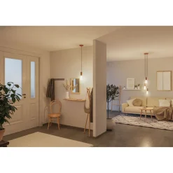 LED-filamenttilamppu Paulmann Lampion Corn, ST64, E27, 400lm, 4.3W, 3000K, himmennettävä, valkoinen