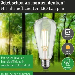 LED-filamenttilamppu Paulmann Eco-Line Corn, 230V, ST64, E27, 806lm, 4.3W, 3000K, himmennettävä, kirkas