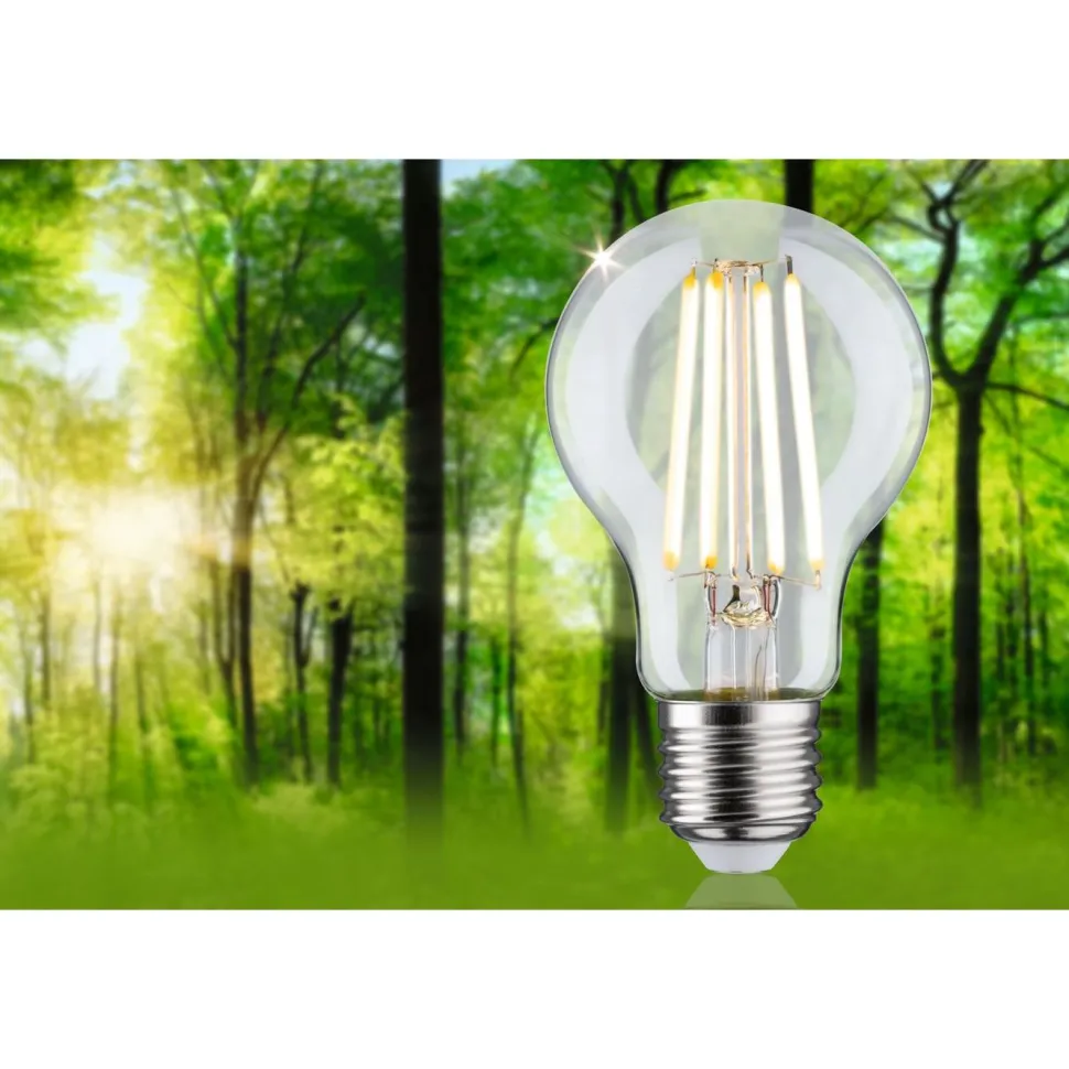 LED-filamenttilamppu Paulmann Eco-Line Pear, E27, 525lm, 2.5W, 3000K, kirkas