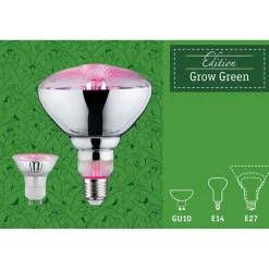 LED-kasvilamppu Paulmann Grow Green Edition Reflector, E27, R63, 200lm, 6.5W, 1300K, hopea