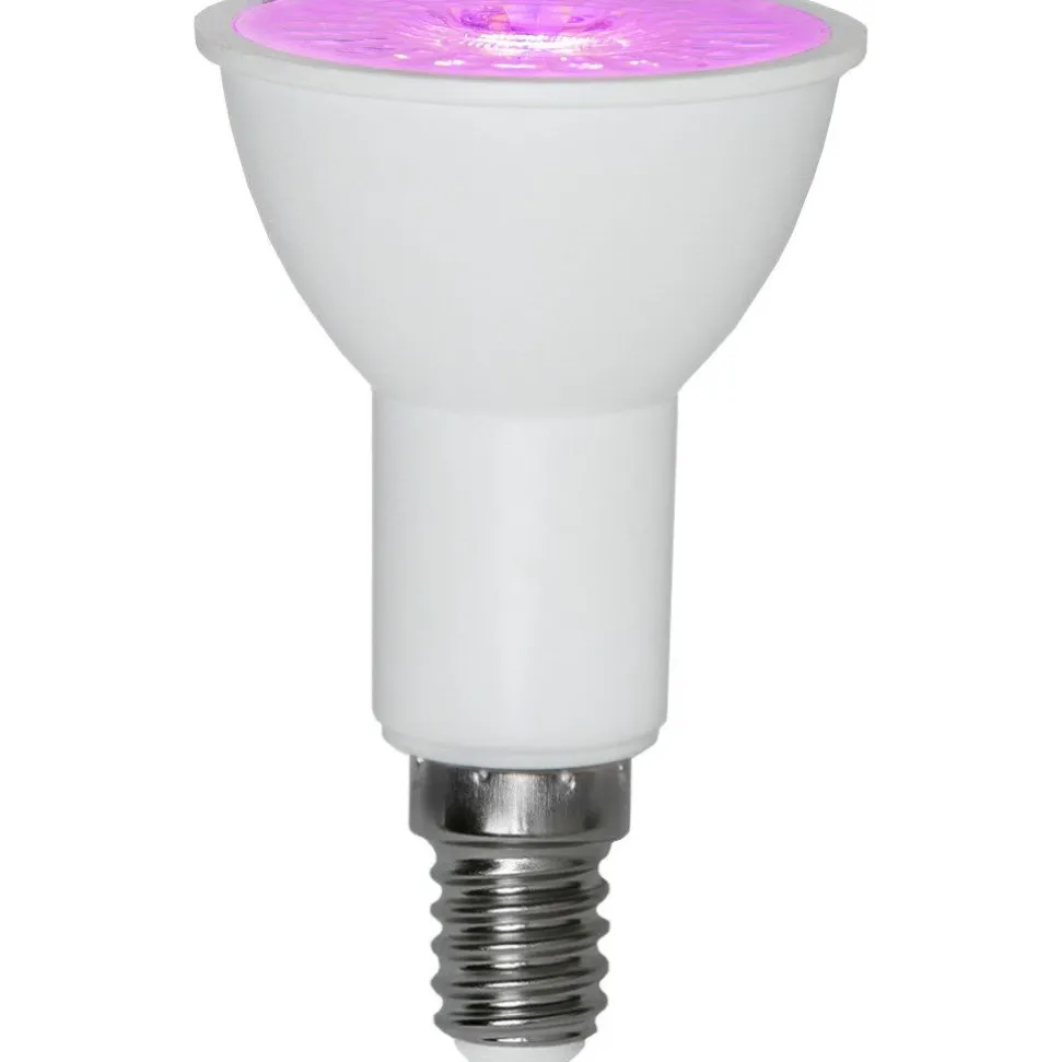 LED-kasvilamppu Star Trading Plant Light, E14, PAR16, 50lm