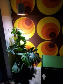 LED-kasvivalaisin Airam Fiora 10W/840 E27 Ø140x175 mm IP20 valkoinen + LED-lamppu