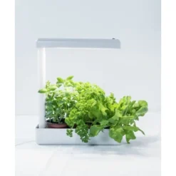 LED-kasvivalaisin Airam Herby Plant 10W/840 650lm 4000K