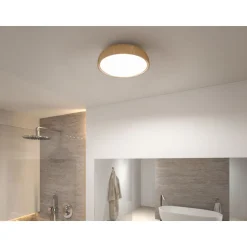 LED-kattovalaisin Paulmann Oka, IP44, 950lm, 24W, säädettävä värilämpötila, mattamusta