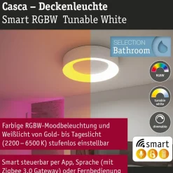 LED-kattovalaisin Paulmann Smart Home Zigbee 3.0 Casca, Ø40cm, IP44, RGBW+, 1750lm, 230V, 20W, himmennettävä, mattamusta