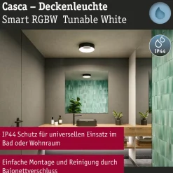 LED-kattovalaisin Paulmann Smart Home Zigbee 3.0 Casca, Ø40cm, IP44, RGBW+, 1750lm, 230V, 20W, himmennettävä, mattamusta