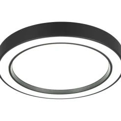 LED-kattovalaisin Trio Arco RGBW 40cm musta