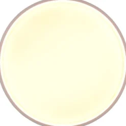 LED-kattovalaisin Trio Doha, 45cm, eri värejä