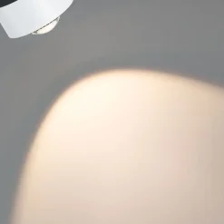 LED-kiskospotti Paulmann URail Aldan 470lm 8W 4000K himmennettävä valkoinen