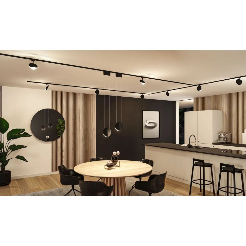 LED-kiskospotti Paulmann URail Alejandro 800lm 10W 3000K 3-Step-Dim himmennettävä valkoinen