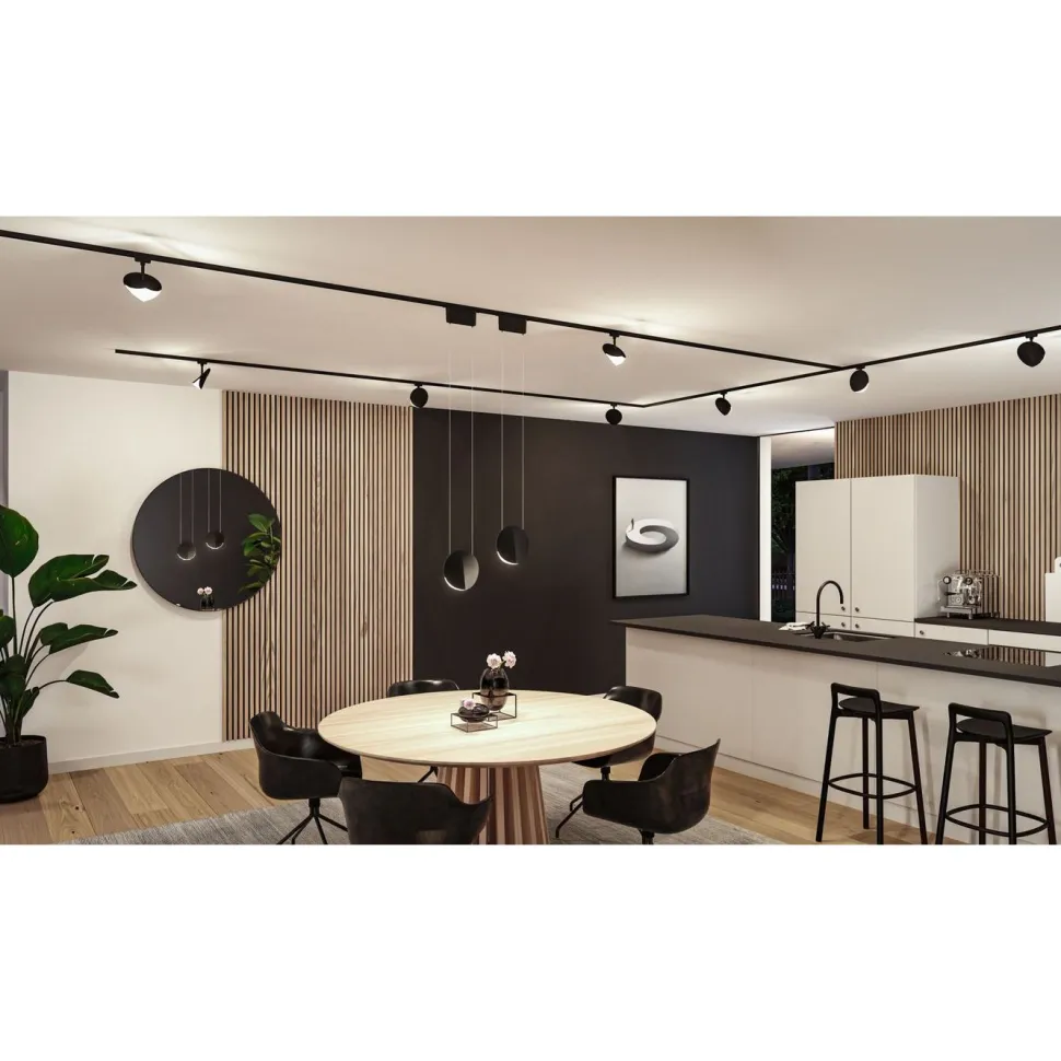 LED-kiskospotti Paulmann URail Alejandro 800lm 10W 3000K 3-Step-Dim himmennettävä valkoinen