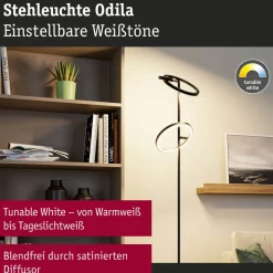 LED-lattiavalaisin Paulmann Odila, 150cm, 2x1200lm, 2x10.4W, säädettävä värilämpötila, mattamusta/kromi