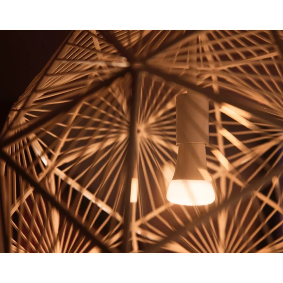 LED-älylamppu Philips Hue WA 13,5W A67 E27