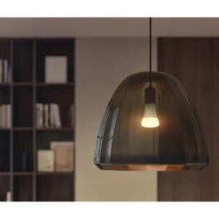 LED-älylamppu Philips Hue W 15,5W A67 E27