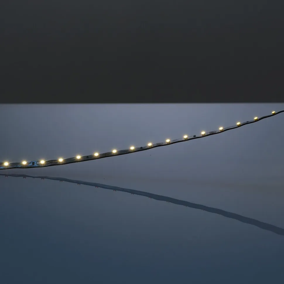 LED-nauha FTLIGHT Prime 5 m 4,8 W/m 12 V 100 lm/W IP20 4000 K