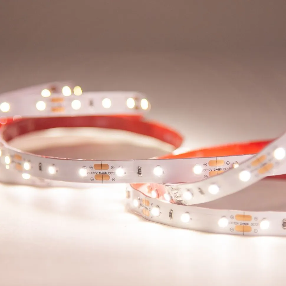 LED-nauha FTLIGHT Prime 5 m 4,8 W/m 12 V 100 lm/W IP20 4000 K