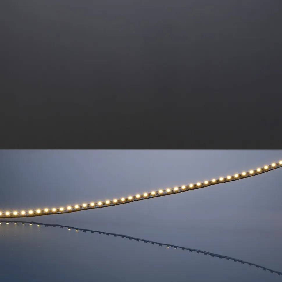 LED-nauha FTLIGHT Prime 5 m 4,8 W/m 12 V 100 lm/W IP20 4000 K