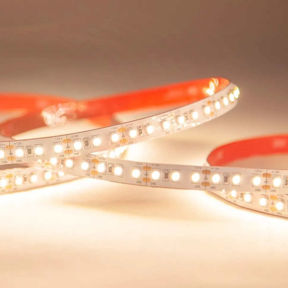 LED-nauha FTLIGHT Prime 5 m 4,8 W/m 12 V 100 lm/W IP20 4000 K