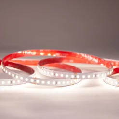 LED-nauha FTLIGHT White Premium 50m 24V 12W IP20 4000K