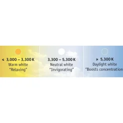 LED-Nauhasetti muuntaja + valonsäädin Paulmann Max Basic Set 10m