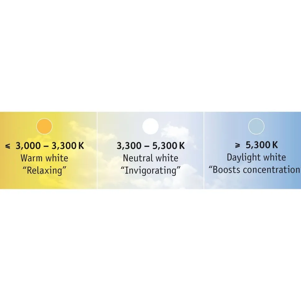 LED-Nauhasetti muuntaja + valonsäädin Paulmann Max Basic Set 10m