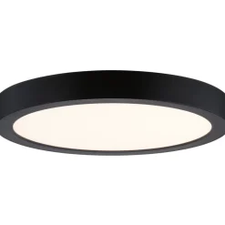 LED-paneeli Paulmann Abia 2 White Select hämäräohjatulla liiketunnistimella (HF) Ø300mm 14W 1000lm 2700-4000K, valkoinen