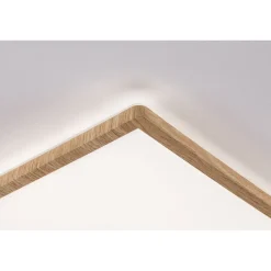 LED-paneeli Paulmann Atria Shine Backlight, IP44, 29.3x29.3cm, 16W, 4000K, puunruskea