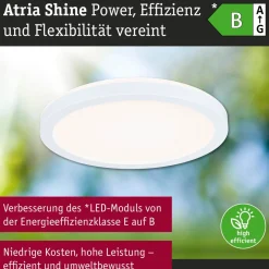 LED-paneeli Paulmann Atria Shine, pyöreä, Ø190mm, IP44, 7.6W, 1100lm, 3000-6500K, puukuvio