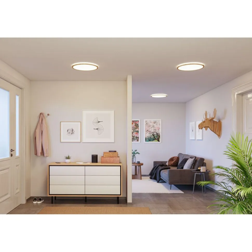 LED-paneeli Paulmann Atria Shine Backlight, IP44, Ø19cm, 11.2W, 4000K, puunruskea