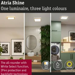 LED-paneeli Paulmann Atria Shine IP44 298x298mm 15.7W 2100lm White Switch puunruskea tammi