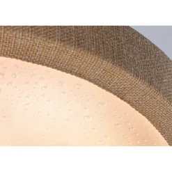 LED-paneeli Paulmann Cosara, IP44, Ø30cm, 15W, 3000K, tummanharmaa