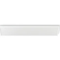 LED-paneeli Philips Hue Surimu 30x120 cm valkoinen
