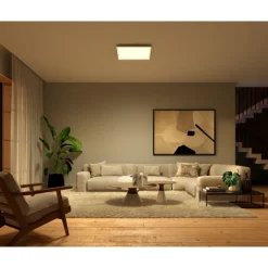 LED-paneeli Philips Hue Surimu 60x60 cm valkoinen