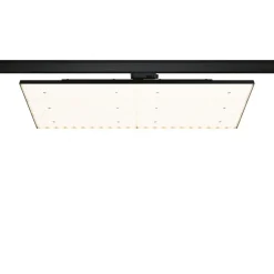 LED-paneeli kiskoon Paulmann ProRail3 Deck, 6600lm, 75W, 3000K, musta